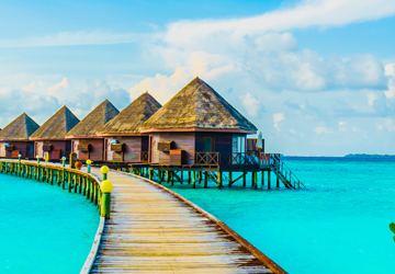 Evening Safari Cocktails